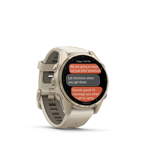 Fenix 8 – AMOLED Sapphire Soft Gold With Fog Gray/Dark 43 mm — фото 3
