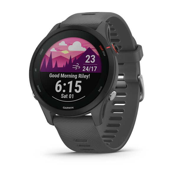 Forerunner 255 Slate Gray
